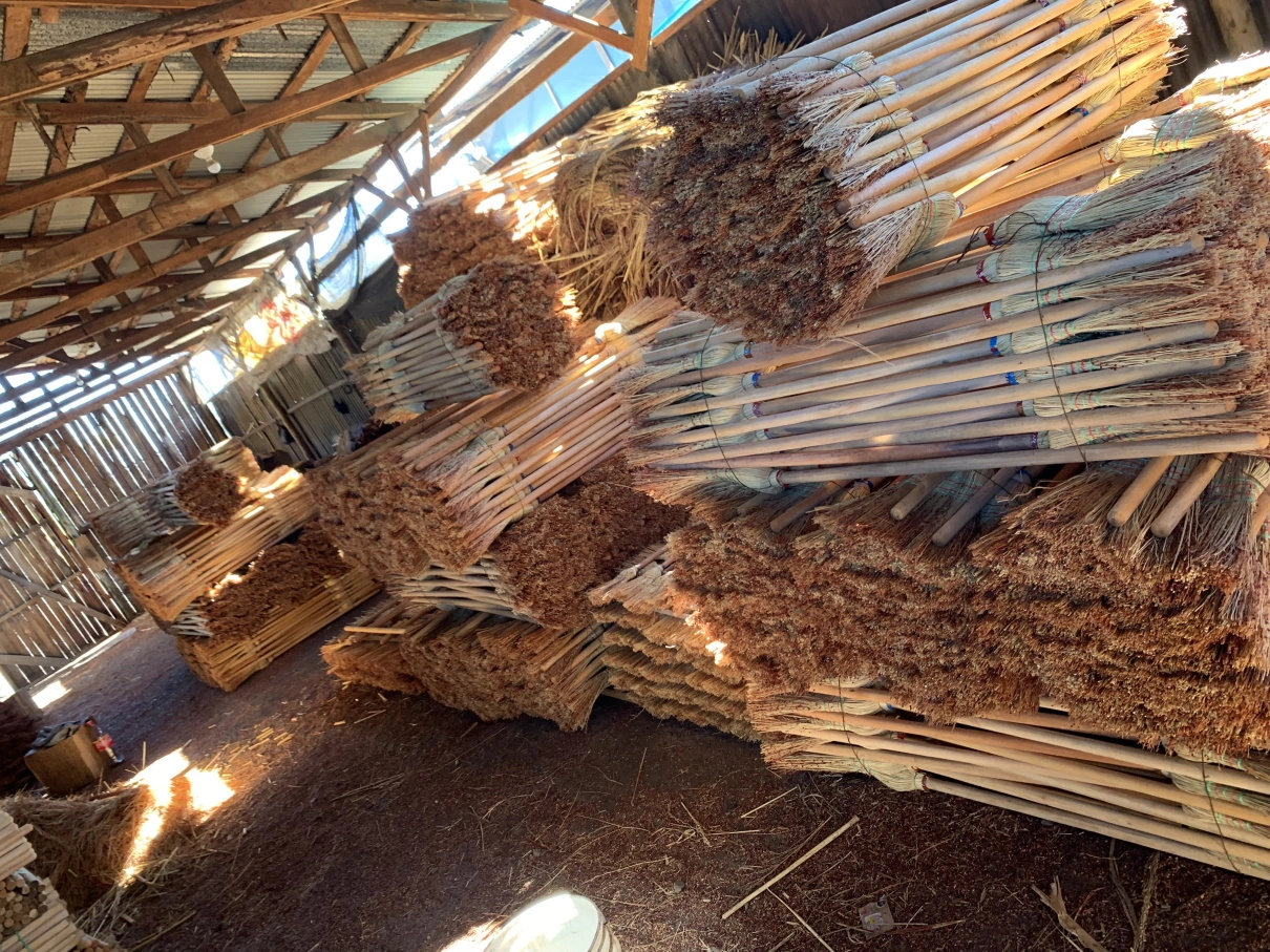 ESCOBA DE RAMA  CURAHUILLA